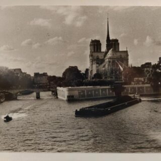 FOTOGRAFGIE - NOTRE-DAME, PARIS