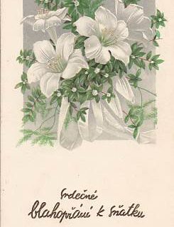 PŘÁNÍ - SRDEČNÉ BLAHOPŘÁNÍ K SŇATKU