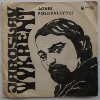 AGNES / POSLEDNÍ KYTICE