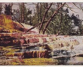 ANGEL TERRACE, MAMMOTH HOT SPRINGS, YELLOWSTONE NATIONAL PARK