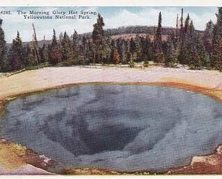 THE MORNING GLORY HOT SPRING, YELLOWSTONE NATIONAL PARK